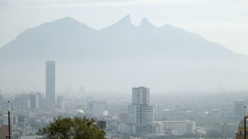 Sólo el 5% de los Impuestos Verdes se destina a medio ambiente.