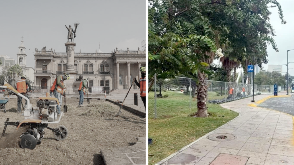 plantación-de-árboles-Plaza-Gastronómica-Parque-Fundidora-áreas-verdes-estacionamientos