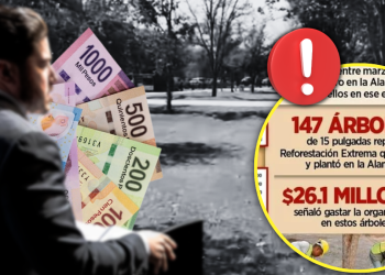 árboles-fantasma-gasto-público-medio-ambiente