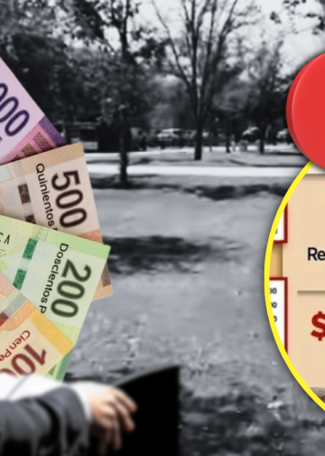 árboles-fantasma-gasto-público-medio-ambiente