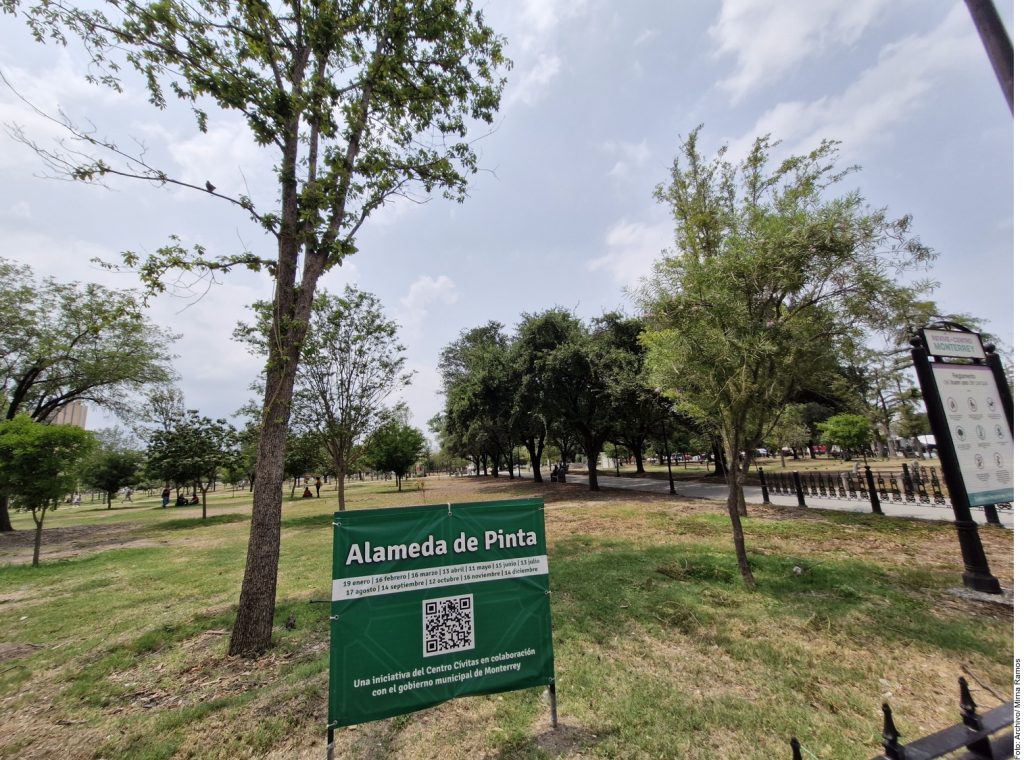 árboles-fantasma-gasto-público-medio-ambiente