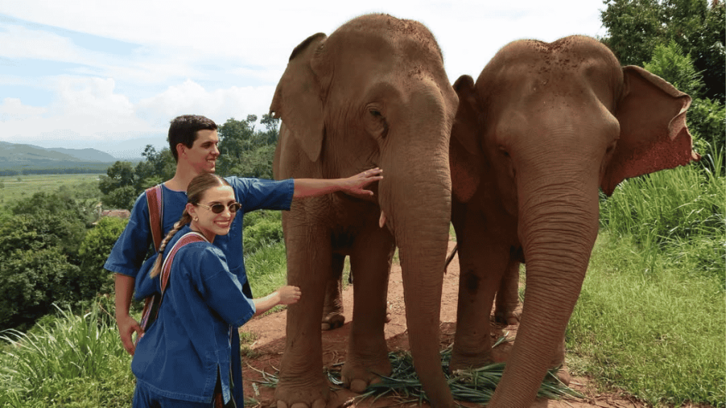 Couple in blue shirts petting two elephants on a grassy hillside with distant hills in the background.