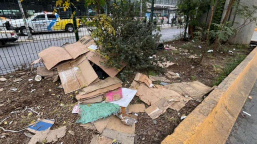 reforestación en las obras de Samuel García