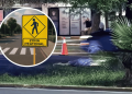 Peatón muere atropellado en Avenida Revolución - Código Regio